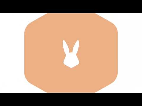 how-to-post-a-project-through-our-api-–-bunny-studio