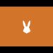 bunny-studio-payment-methods